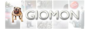 Giomon S.R.L.