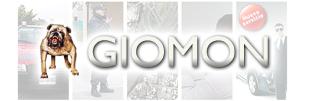 Giomon S.R.L.